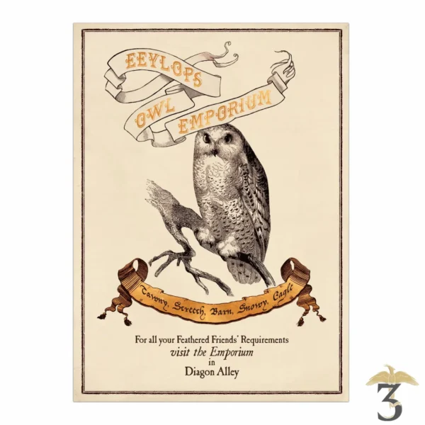 AFFICHE EEYLOPS OWL EMPORIUM - Les Trois Reliques, magasin Harry Potter - Photo N°1