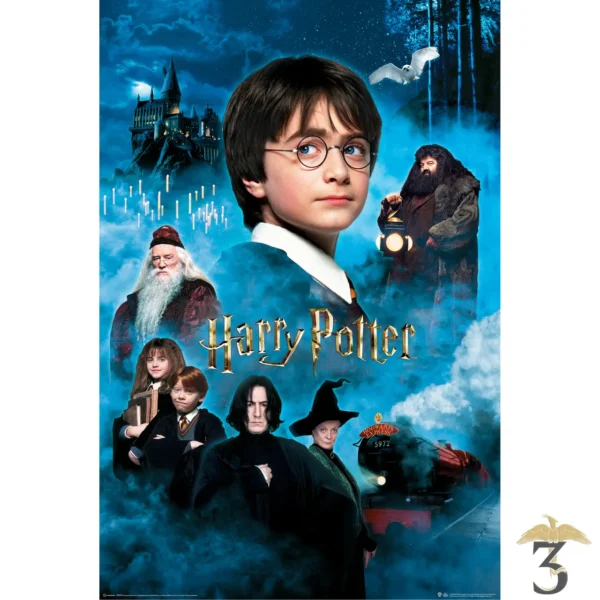 AFFICHE FILM – HARRY POTTER A L ECOLE DES SORCIERS - Les Trois Reliques, magasin Harry Potter - Photo N°1