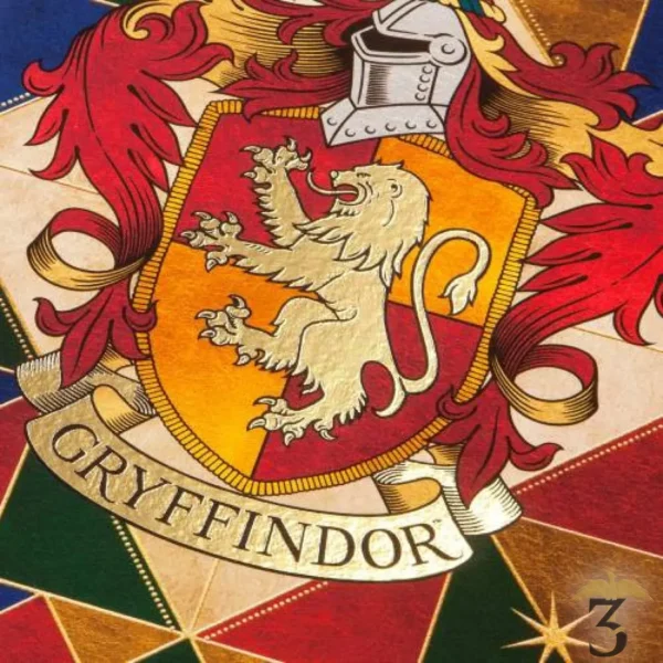 AFFICHE GRYFFONDOR CREST MINALIMA - Les Trois Reliques, magasin Harry Potter - Photo N°3