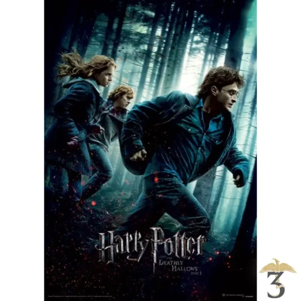 AFFICHE HARRY POTTER (DEATHLY HALLOWS PART 1) - Les Trois Reliques, magasin Harry Potter - Photo N°1