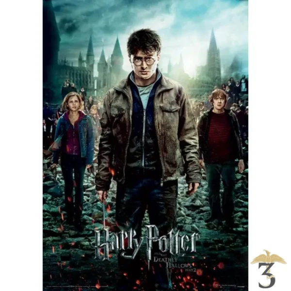 AFFICHE HARRY POTTER (DEATHLY HALLOWS PART 2) - Les Trois Reliques, magasin Harry Potter - Photo N°1