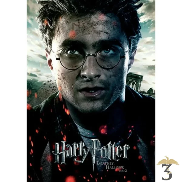 AFFICHE HARRY POTTER (DEATHLY HALLOWS PART 2 – HARRY) - Les Trois Reliques, magasin Harry Potter - Photo N°1