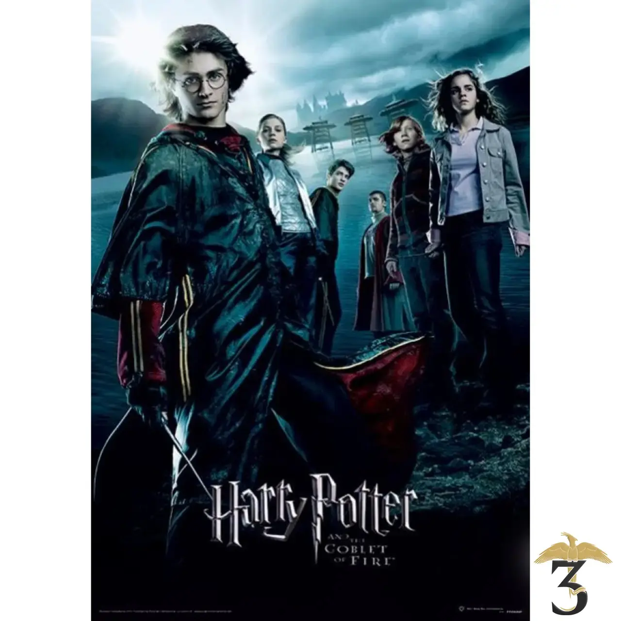 Affiche harry potter goblet of fire 30×40 - Les Trois Reliques, magasin Harry Potter - Photo N°1