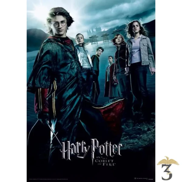 AFFICHE HARRY POTTER (GOBLET OF FIRE) - Les Trois Reliques, magasin Harry Potter - Photo N°1
