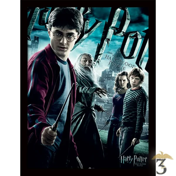 AFFICHE HARRY POTTER (HALF-BLOOD PRINCE DRAMATIC) - Les Trois Reliques, magasin Harry Potter - Photo N°1