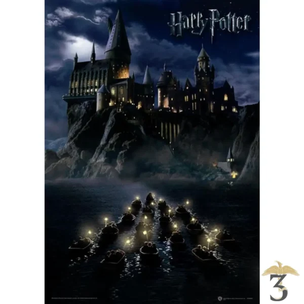 AFFICHE HARRY POTTER (HOGWARTS SCHOOL) - Les Trois Reliques, magasin Harry Potter - Photo N°1