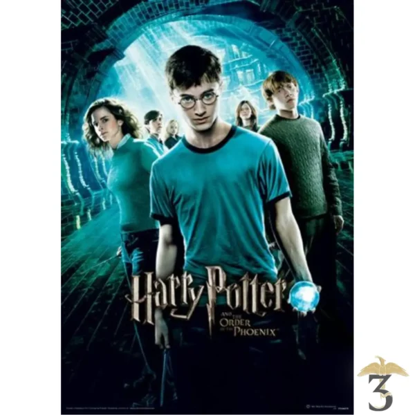 AFFICHE HARRY POTTER (ORDER OF THE PHOENIX) - Les Trois Reliques, magasin Harry Potter - Photo N°1