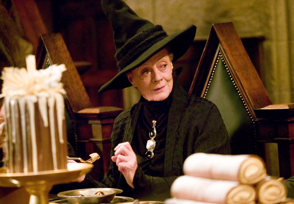 AXCIO Pourquoi les sorcières portent-elles un chapeau pointu dans Harry potter Les 3 Reliques Magasin harry potter