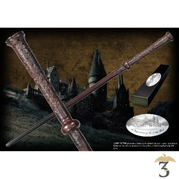 Harry Potter - Présentoir Collection 10 Baguettes (Baguettes et plaques non  incluses) - Bois