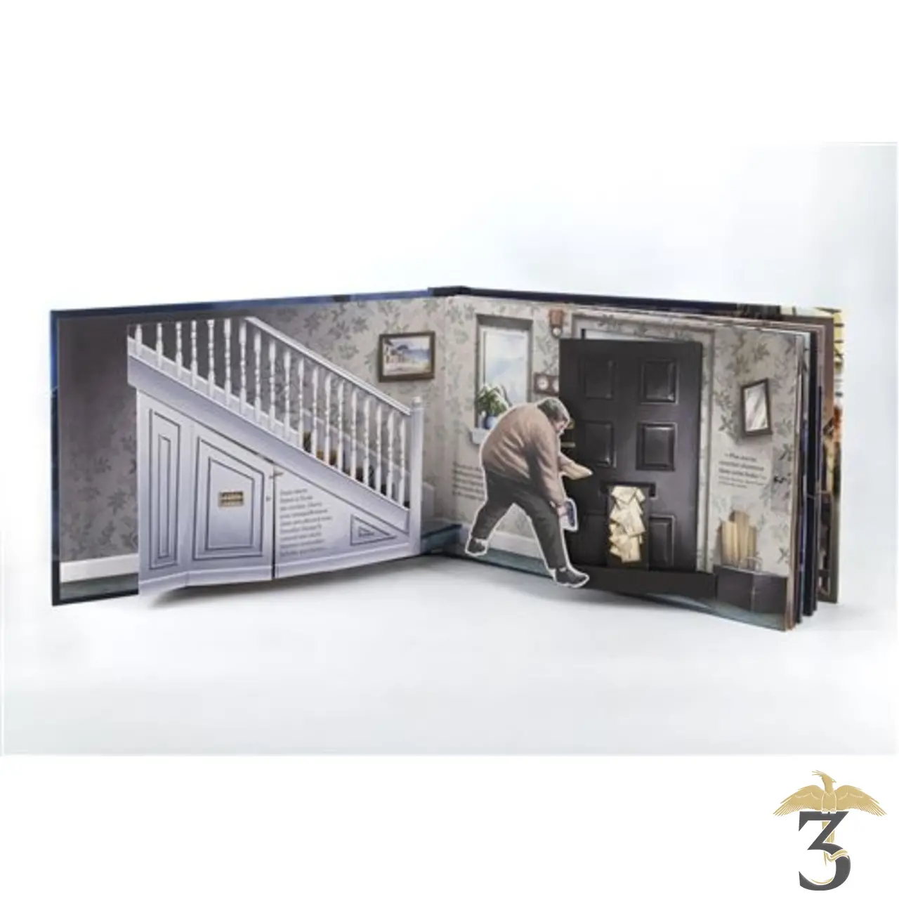 Bienvenue a poudlard – un pop-up magique - Les Trois Reliques, magasin Harry Potter - Photo N°4