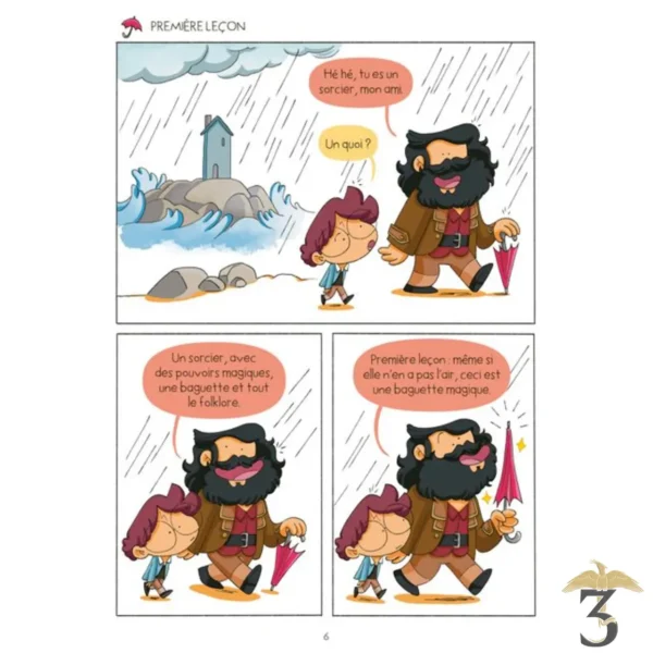 Bloody harry – tome 6 – un sorcier de haut vol - Les Trois Reliques, magasin Harry Potter - Photo N°3