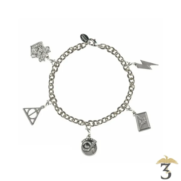 Bracelet Harry Potter avec 3 pendentifs livré dans son coffret sur Rapid  Cadeau