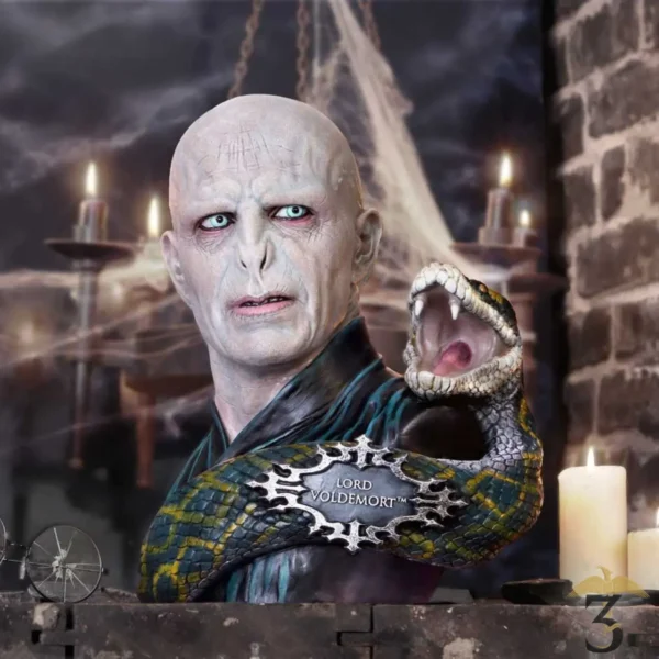 Buste Lord Voldemort et Nagini - Harry Potter - Les Trois Reliques, magasin Harry Potter - Photo N°7