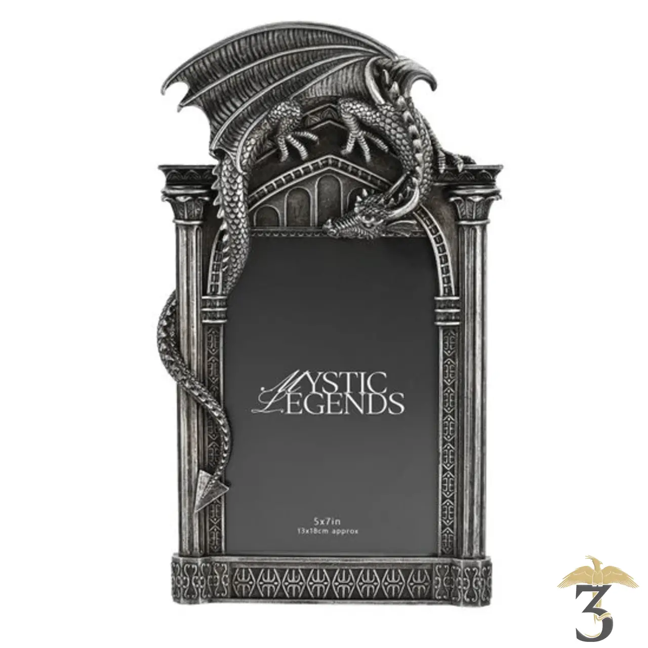 Cadre dragon - Les Trois Reliques, magasin Harry Potter - Photo N°1