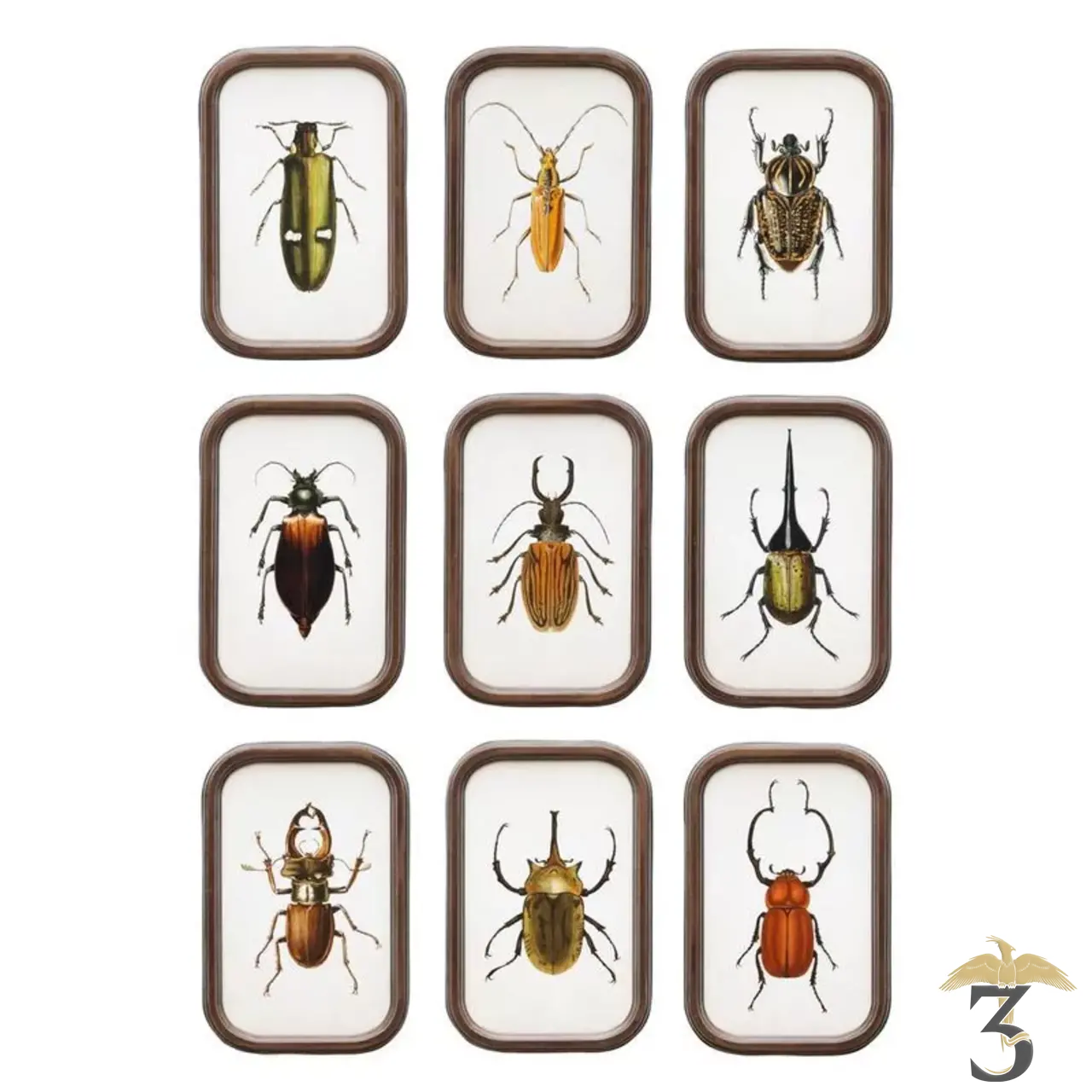 Cadre insecte - Les Trois Reliques, magasin Harry Potter - Photo N°1
