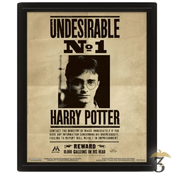 CADRE LENTICULAIRE HARRY – SIRIUS - Les Trois Reliques, magasin Harry Potter - Photo N°1