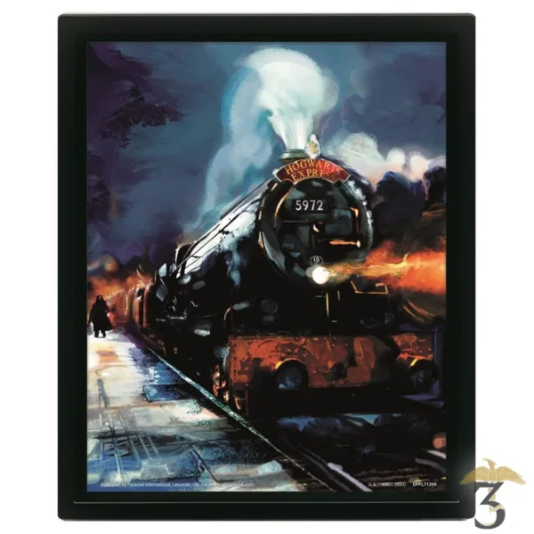 CADRE LENTICULAIRE HOGWART EXPRESS - Les Trois Reliques, magasin Harry Potter - Photo N°1