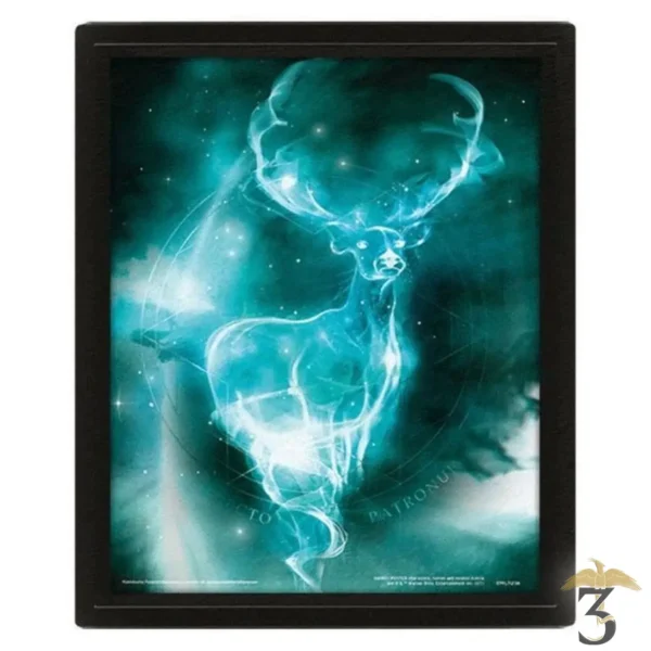 CADRE LENTICULAIRE PATRONUS - Les Trois Reliques, magasin Harry Potter - Photo N°1