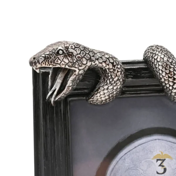 Cadre nagini mangemort - Les Trois Reliques, magasin Harry Potter - Photo N°3