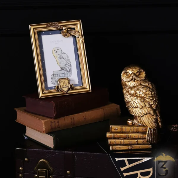 Cadre photo hedwige - Les Trois Reliques, magasin Harry Potter - Photo N°4