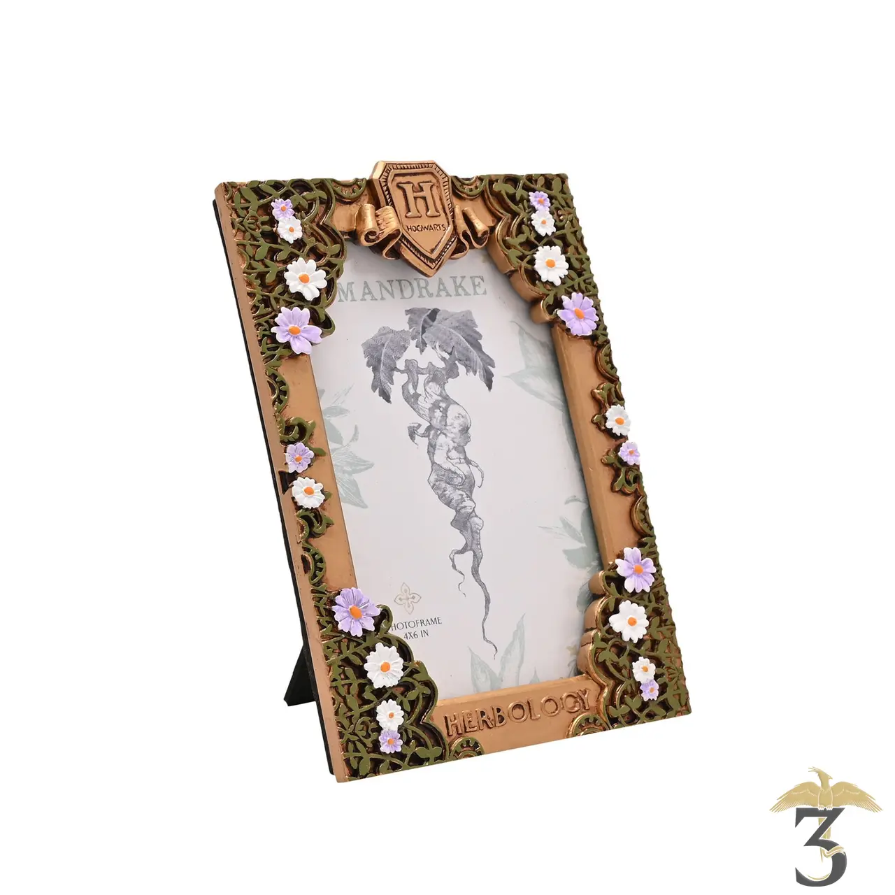 Cadre photo herbology dore harry potter - Les Trois Reliques, magasin Harry Potter - Photo N°1