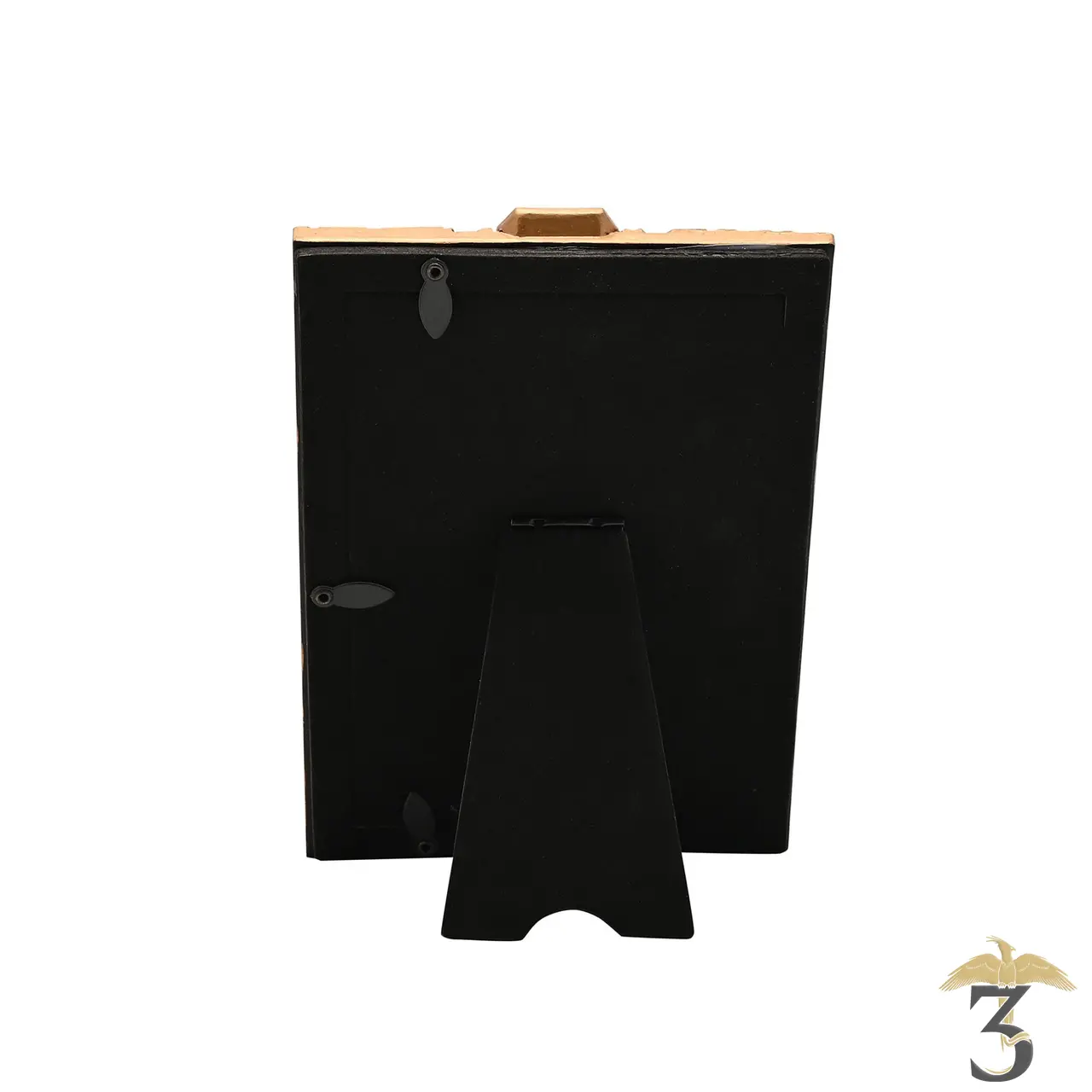 Cadre photo herbology dore harry potter - Les Trois Reliques, magasin Harry Potter - Photo N°3