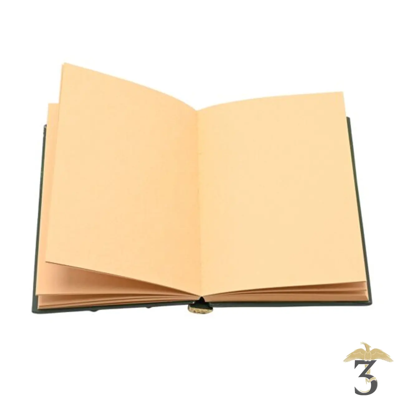 Carnet dragon vert 3d - Les Trois Reliques, magasin Harry Potter - Photo N°4