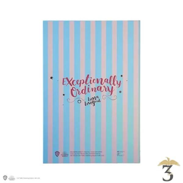 CARNET LE CHICANEUR - Les Trois Reliques, magasin Harry Potter - Photo N°2