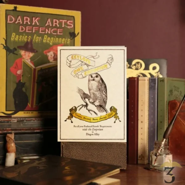 Carte de voeux - Au Royaume du Hibou - Les Trois Reliques, magasin Harry Potter - Photo N°3