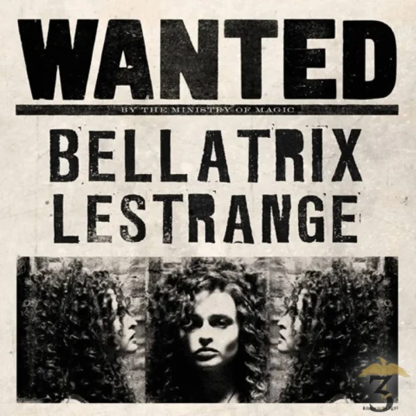 Carte de voeux lenticulaire - Bellatrix Lestrange Wanted - Les Trois Reliques, magasin Harry Potter - Photo N°4