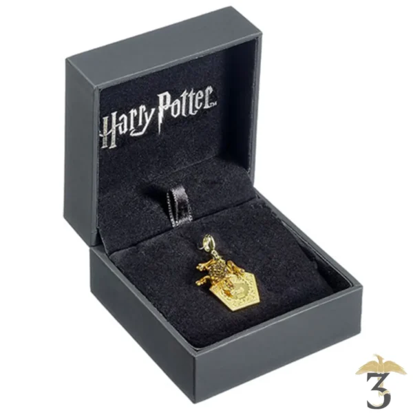 CHARM CHOCOGRENOUILLES PLAQUE OR AVEC CRISTAUX - Les Trois Reliques, magasin Harry Potter - Photo N°2