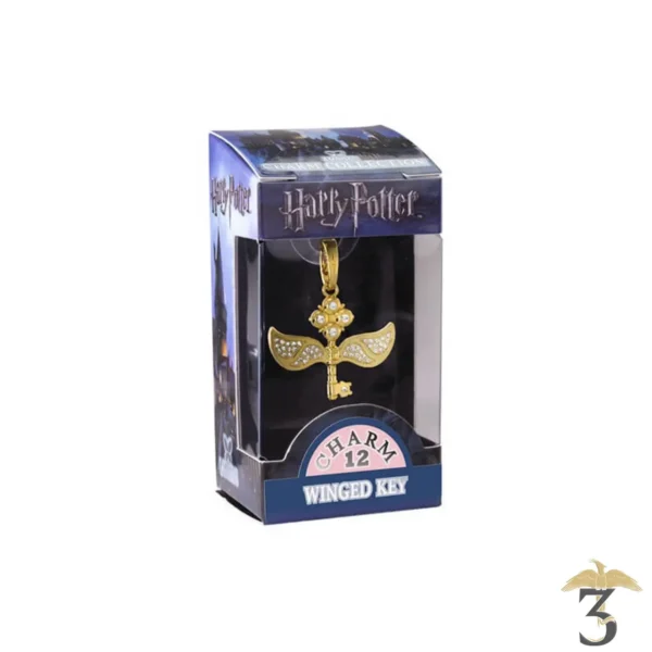 CHARM – CLE VOLANTE N12 - Les Trois Reliques, magasin Harry Potter - Photo N°2