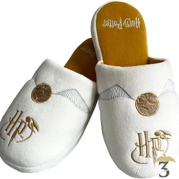 CHAUSSON VIF D´OR - Les Trois Reliques, magasin Harry Potter - Photo N°1