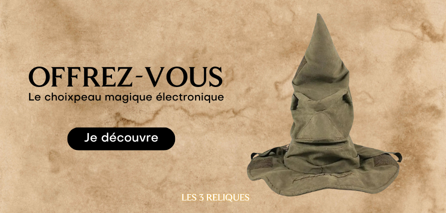 Choixpeau magique Harry potter chez les 3 Reliques boutique harry potter Lyon