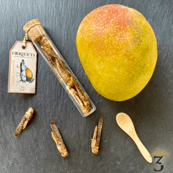 Coffret bois 3 tubes – vers, grillons, criquets - Les Trois Reliques, magasin Harry Potter - Photo N°2