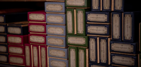 Collection de baguette harry potter chez les 3 Reliques votre boutique Harry potter