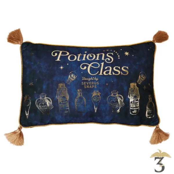 Coussin en velours cours de potions 50 *30 cm – harry potter - Les Trois Reliques, magasin Harry Potter - Photo N°1
