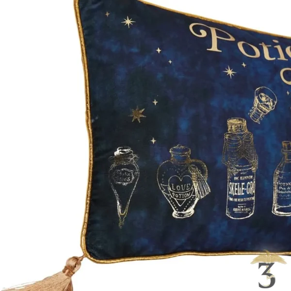 Coussin en velours cours de potions 50 *30 cm – harry potter - Les Trois Reliques, magasin Harry Potter - Photo N°2