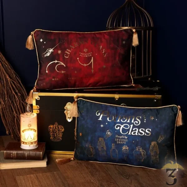 Coussin en velours cours de potions 50 *30 cm – harry potter - Les Trois Reliques, magasin Harry Potter - Photo N°3