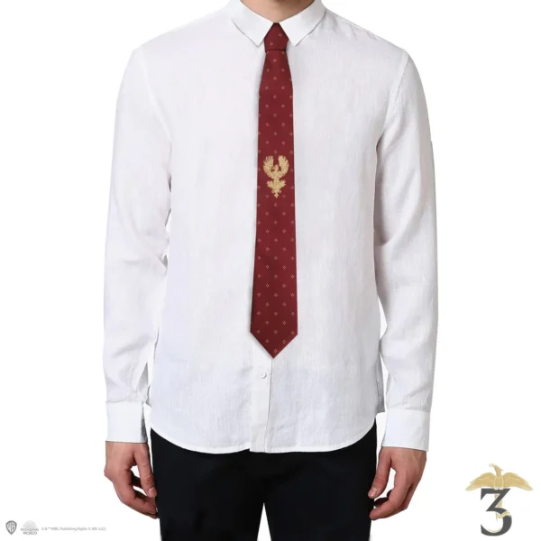 Cravate albus dumbledore - Les Trois Reliques, magasin Harry Potter - Photo N°3