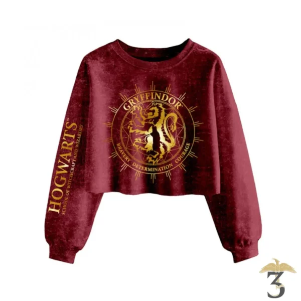 CROC TOP GRYFFONDOR - Les Trois Reliques, magasin Harry Potter - Photo N°1
