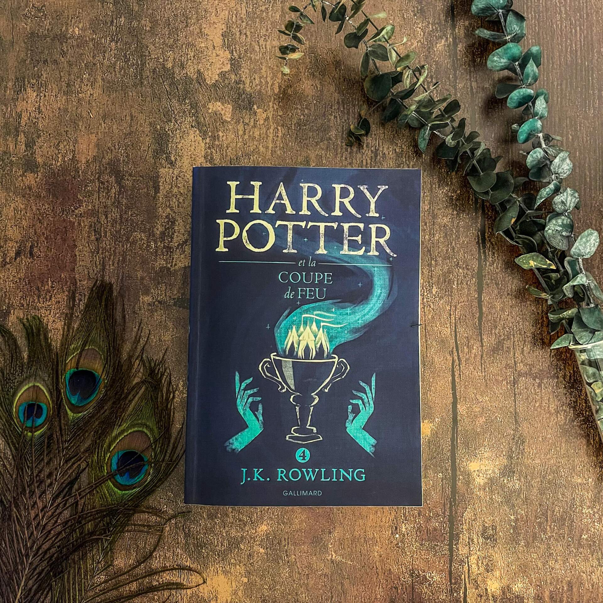 Harry Potter - Tome 4 - Harry potter et la coupe de feu - J.K.