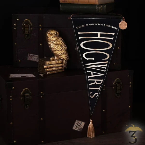 Drapeau etendard poudlard en vente au magasin Harry Potter Les Trois Reliques, photo N°3