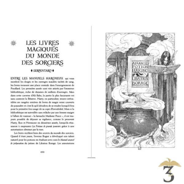 Edition Serpentard 20 ans Harry Potter et le Prince de Sang Mêlé - Les Trois Reliques, magasin Harry Potter - Photo N°3