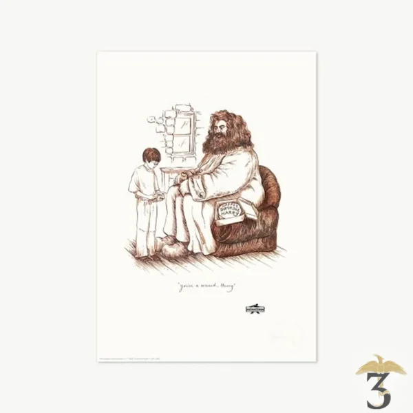 Estampe harry potter & hagrid – 25e anniversaire – minalima - Les Trois Reliques, magasin Harry Potter - Photo N°1