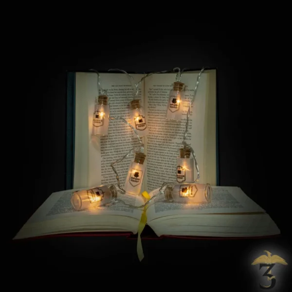 GUIRLANDE LUMINEUSE FLACONS POTIONS - Les Trois Reliques, magasin Harry Potter - Photo N°2