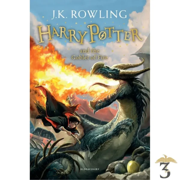 HARRY POTTER AND THE GOBLET OF FIRE - Les Trois Reliques, magasin Harry Potter - Photo N°1