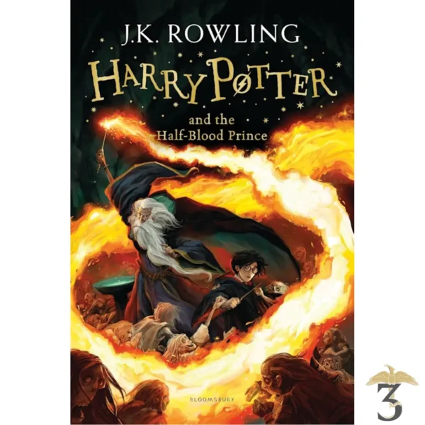 HARRY POTTER AND THE HALF-BLOOD PRINCE - Les Trois Reliques, magasin Harry Potter - Photo N°1