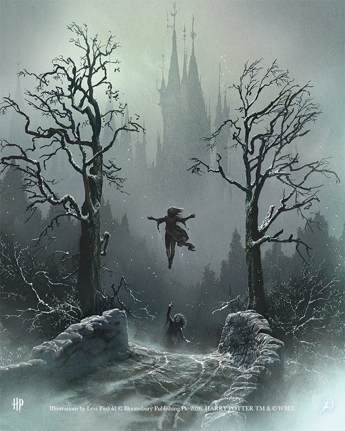Harry potter et le prince de sang-mêlé grand livre illustré par  levi pinfold chez les 3 Reliques boutique Harry Potter