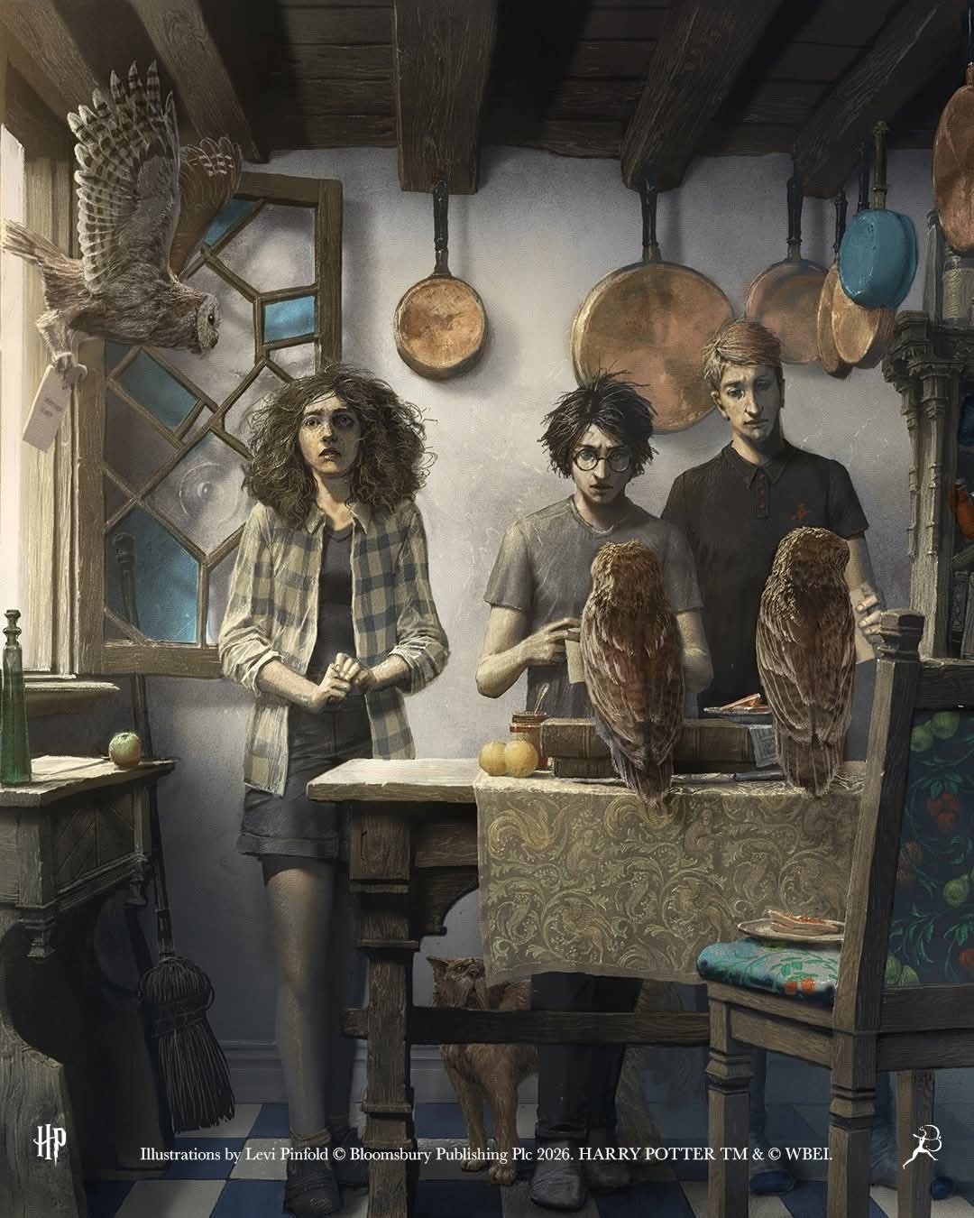 Harry potter et le prince de sang-mêlé grand livre illustré par  levi pinfold chez les 3 Reliques boutique Harry Potter